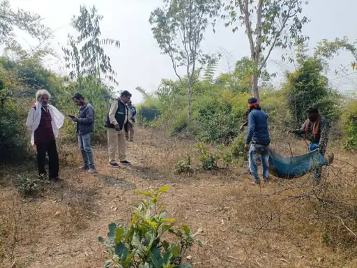 AmbikapurNews@ ससुराल जाने निकले युवक को रास्ते में हाथी ने कुचलकर मार डाला