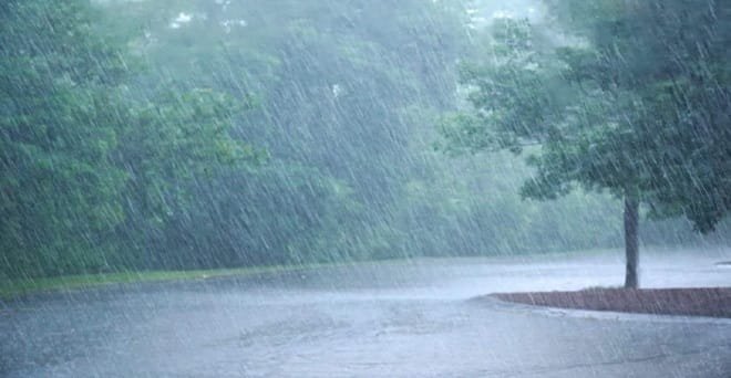 जिले में अब तक 180.3 मि.मी. औसत वर्षा दर्ज