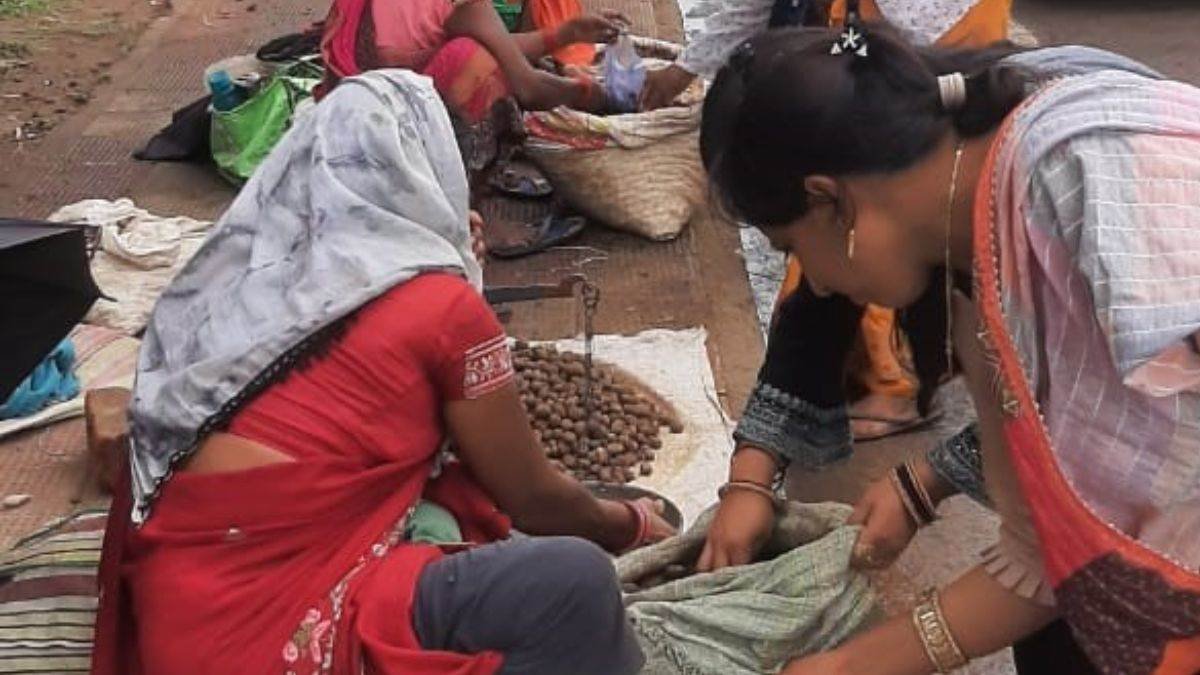 CGNews: छत्तीसगढ़ में 1200 रुपये किलो मिल रही खुखड़ी, लेकिन कही बन ना जाए जानलेवा ?
