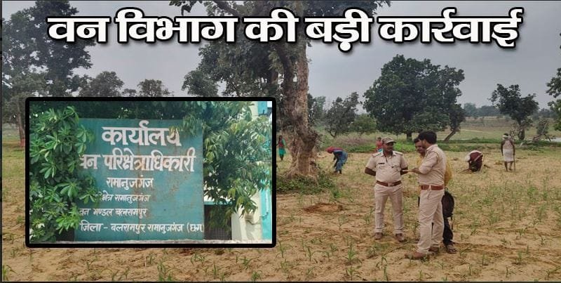 Big Action By Forest Department: 100 एकड़ वन भूमि को अतिक्रमण से मुक्त कराया, कर्मचारियों ने किया पौधारोपण