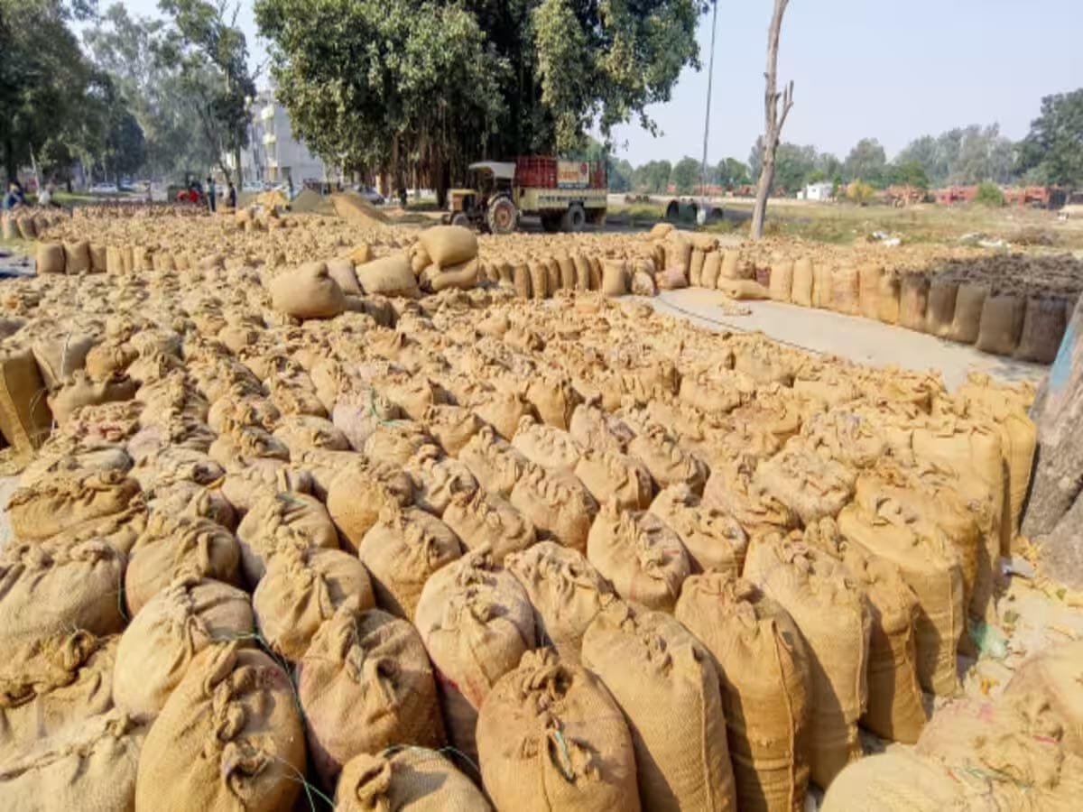 खनिज संस्थान न्यास के शासी परिषद की बैठक 12 जुलाई को