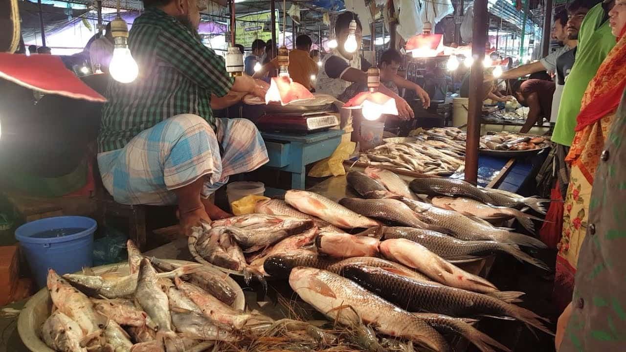 Ambikapur: गणेश चतुर्थी पर्व के अवसर पर पशुबद्य मास मछली मार्केट रहेंगे बंद , मास मछली कटिंग पर प्रतिबन्ध